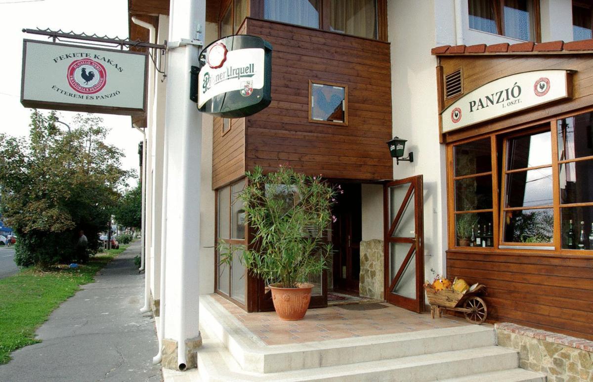 Il Gallo Nero - Fekete Kakas Etterem Es Panzio Szombathely Ngoại thất bức ảnh